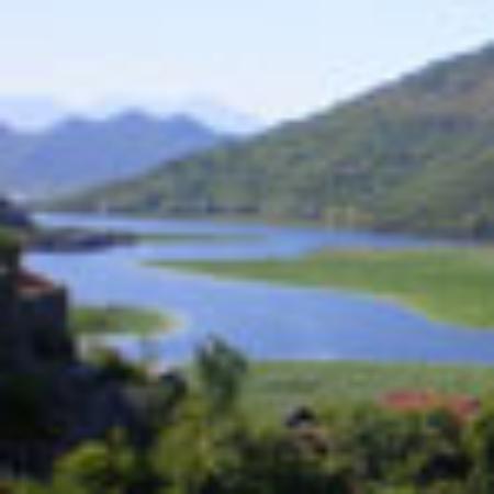 Arte & Gusto Societa' Cooperativa